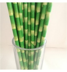 Pailles en papier bamboo