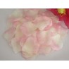 petale de rose blanc bout rose doux